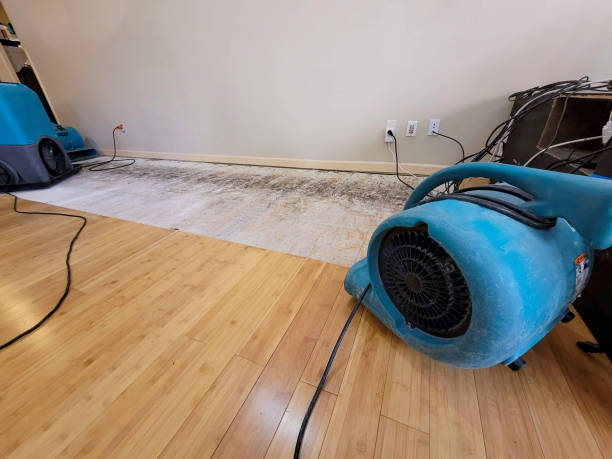 Professional Structural Drying technician working in Emery, SD